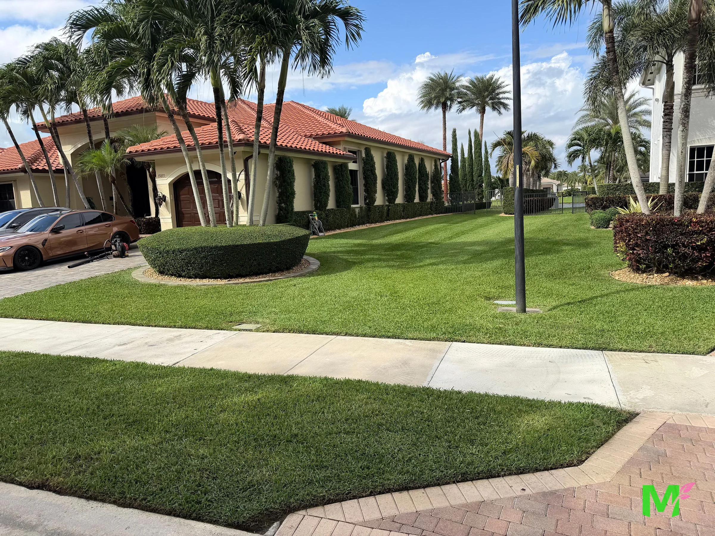 Estate frontage with clipped hedges, a shaped shrub island, palms and a manicured lawn